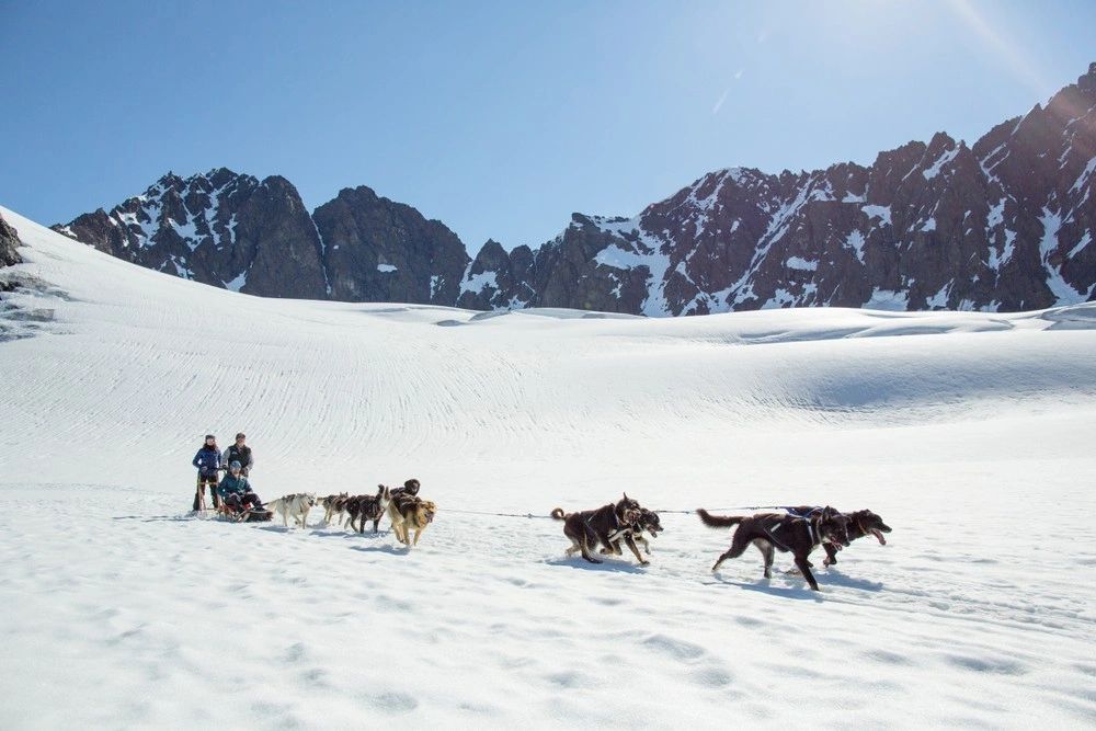 A sled-dog team pulls visitors across a broad sunlit snowfield ringed by rugged mountain peaks.
